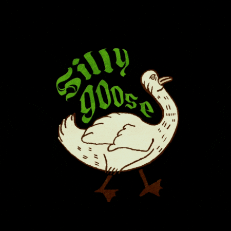 Silly Goose GIF