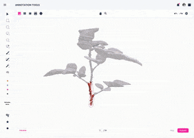 Platform GIF