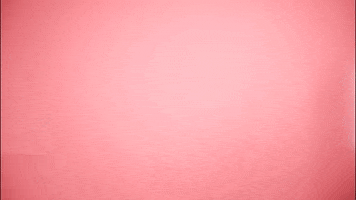 Whatever You Say Ok GIF by BDHCollective