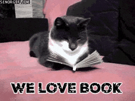 Cat Book GIF by chuber channel