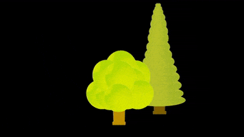 merikinbynature GIF