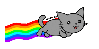 Rainbow Kitty Sticker by Hugo.fm