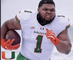 Miami Canes GIF