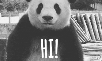 Black And White Panda GIF