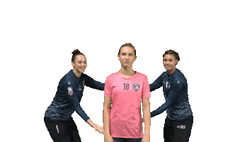 France Sport Sticker by Les Neptunes de Nantes