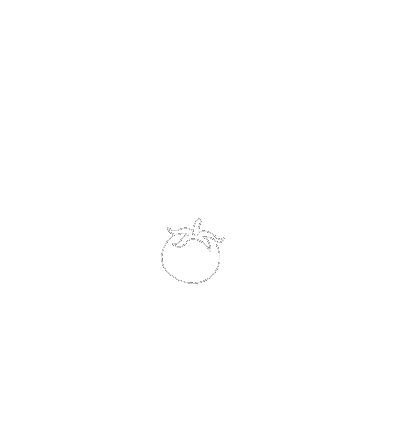 Tomato Sticker