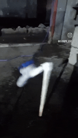 Fadozoellobr GIF