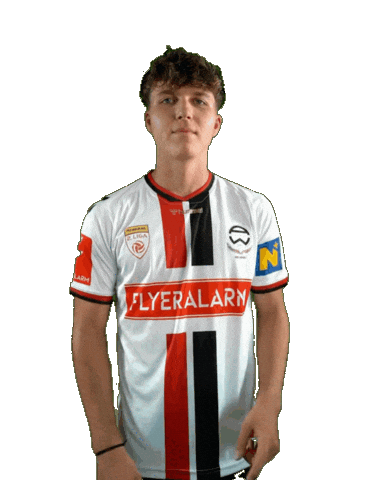 Steiner Admira Sticker by KSV1919