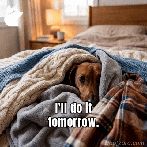 Sleep Dachshund GIF by Woofzara