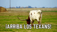 ¡Arriba los Texans!
