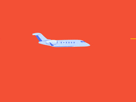 Private Jet GIF