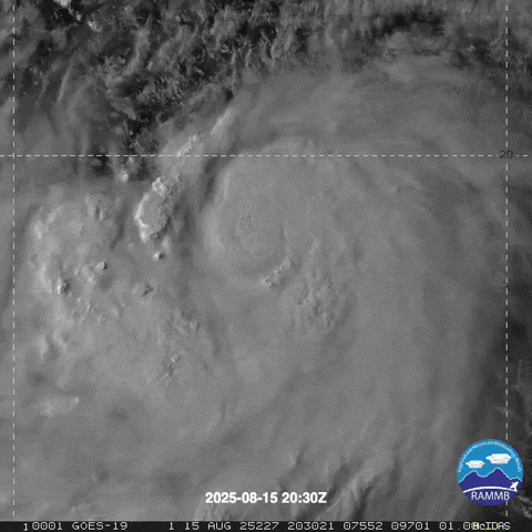 giphy.gif?cid=9b38fe918akg6zcgfw5eexgl1x