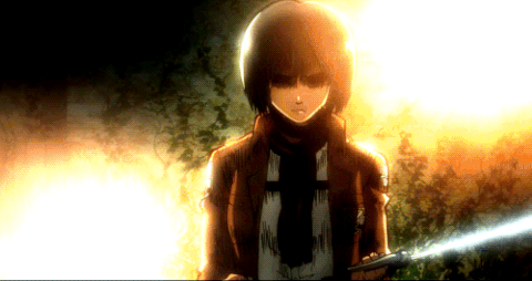mikasa