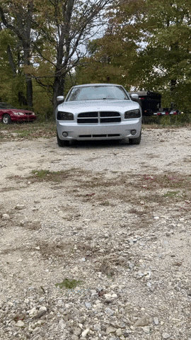 Ford Mustang GIF