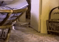 200w.gif