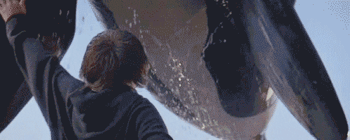 Freewilly GIFs - Get the best GIF on GIPHY