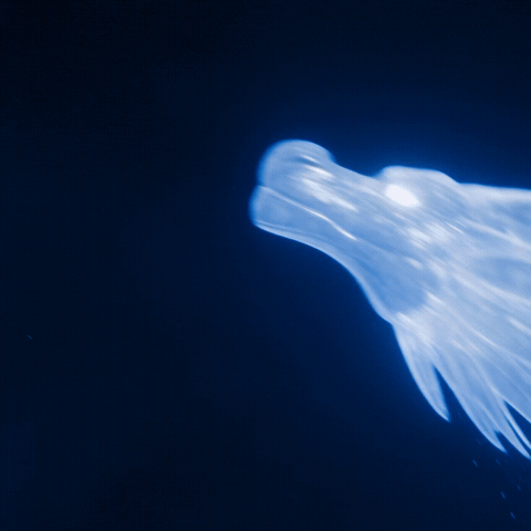 Blue Dragon GIF by windows101