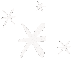 Snow Star Sticker