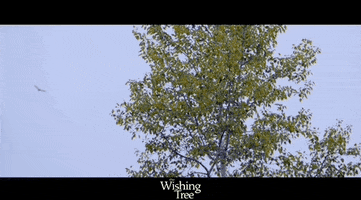 Soar Northern Ontario GIF by Raven Banner Entertainment