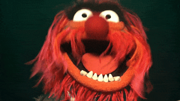 knows muppets tv show GIF
