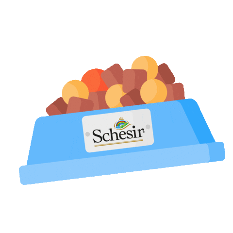 Schesir Sticker