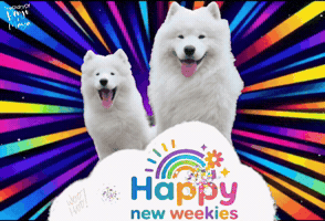 Monday Week GIF
