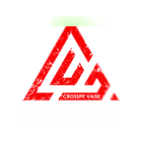 Crossfit Vaise District Sticker