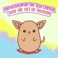 Impeach This Is America GIF by Creative Courage