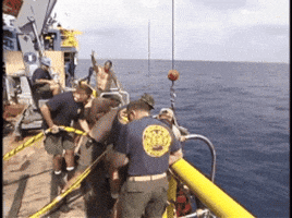 370-Mar-141 GIF