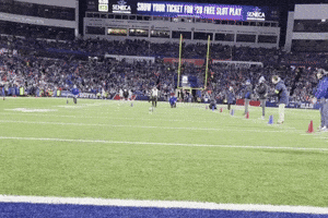 Corgi GIF