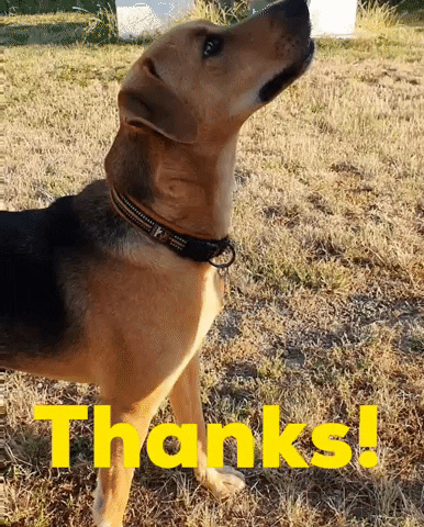 Thank You Very Much GIF by KreativCopy