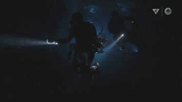 Deep Sea Space GIF by Monterey Bay Aquarium