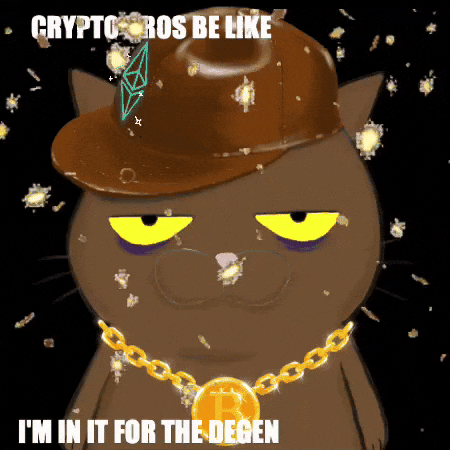 Cat Be Like GIF by Insomnia Cats