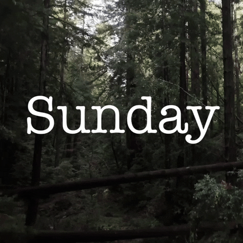 Sunday Forest GIF by Yevbel