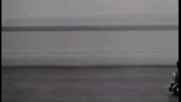 Sweden Bowiderberg GIF