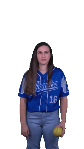Italia Italiateam Sticker by FIBS - Federazione Italiana Baseball Softball