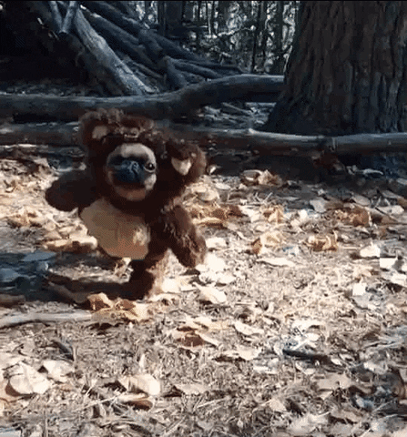 Brussels Griffon Running GIF by MISO PUP