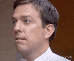 See What I Mean Season 3 GIF by The Office
