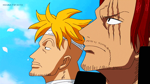 Marco One Piece Gifs Get The Best Gif On Giphy