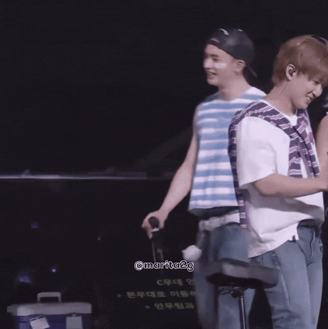 Stray Kids Skz GIF