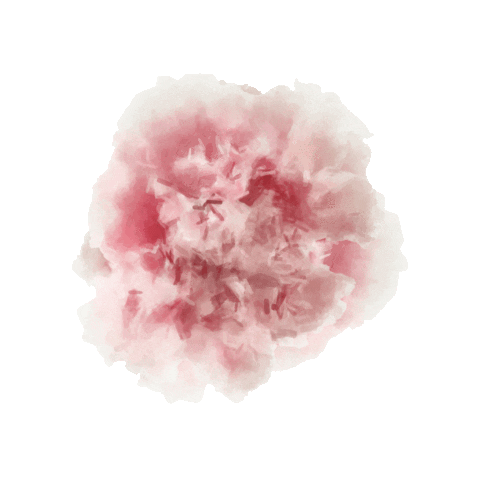 Flower Boom Sticker by LiliKonno