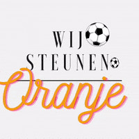 Willem Alexander Soccer GIF by Vakantieoord Het Lorkenbos