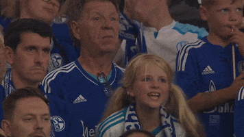 Angry Game Day GIF by FC Schalke 04