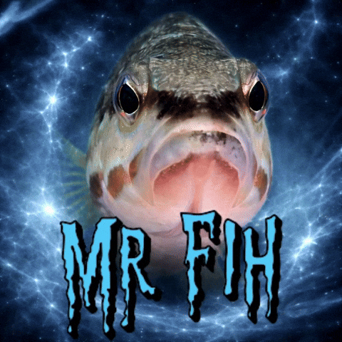 Fih GIF