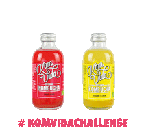 Lemon Ginger Sticker by Komvidakombucha