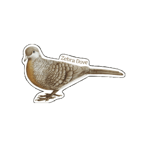 Dove Sticker