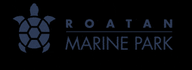 Rmp GIF by Roatan Marine Park
