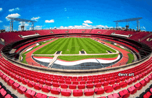 Sao Paulo Futebol GIF by DevX Art