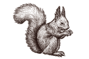 Das Oachkatzl Sticker