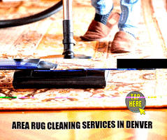 Denver Rug Cleaning GIF